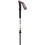 Trespass UUACMIM30017-SIL-63/135cm Qiklock Полюс 1 Единица Черный Silver 63-135 cm