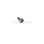 Johnson Pump 0.0279.300 Slotted Cylinder Head Screw