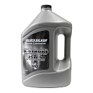 Купить Quicksilver boats 858084QE1 4 Stroke FCW 25W50 Synthetic Blend Marine Outboard Oil 4L 3 Units Серый Grey 7ft.ru в интернет магазине Семь Футов