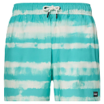 Oakley FOA405398-6G8-XS Плавки Blur Stripes RC 16´´  Blurred Stripe Teal Blue XS