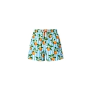 Купить North sails 673746-C006-S плавательные шорты Allover Volley White Blue Stripes / Orange Fruits S 7ft.ru в интернет магазине Семь Футов