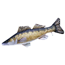 Купить Gaby GP-175259 The Monster Zander Многоцветный  Black / Gold / White 7ft.ru в интернет магазине Семь Футов