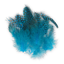 Купить Baetis GBM086/WA Guinea Перо птицы Голубой  Kingfisher Blue 7ft.ru в интернет магазине Семь Футов