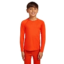 Купить Icebreaker 1045010gt/3 Базовый слой с длинным рукавом Merino 200 Oasis Crewe Fervid 30x25x2 3-4 Years 7ft.ru в интернет магазине Семь Футов
