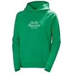 Helly hansen 54239_499-xs Толстовка с капюшоном Core Graphic Bright Green 40x30x12