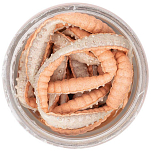 Berkley 1546774 Powerbait Honey Worm Мягкая приманка 25 Mm Оранжевый Orange Pearl