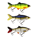 Купить Westin P033-137-023 Ricky The Roach 150 Mm 40g Многоцветный Lively Rudd 7ft.ru в интернет магазине Семь Футов