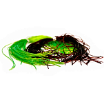 Baetis LF504/VE Lastifly Кружево Зеленый  Fluor Green