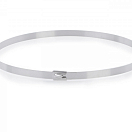 2000000287511 Хомуты из нержавеющей стали / Ширина: 4,6 мм; Длина: 520 мм