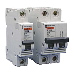 Schneider 305080 C60N 10A 230V Униполярный дифференциал Grey