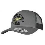 Molix sbdc-gy Кепка Swimbait Division Grey 15x10x5