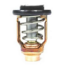 Купить Sierra SIE18-3637 Yamaha 18-3637 Термостат Золотистый Bronze / Grey 7ft.ru в интернет магазине Семь Футов