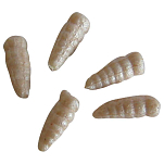 Berkley 1140594 Gulp Alive Waxies 59g Пластиковые черви Золотистый White 10 mm 