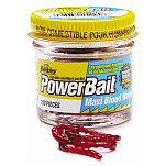 Berkley 1092475 Powerbait Maxi Blood Worms 100 Pcs Красный Blood Red