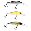 Купить Sakura PKRD05010 Rush Diver Suspending 50 Mm Многоцветный RL01 (Real Life Rainbow Trout) 5 g  7ft.ru в интернет магазине Семь Футов