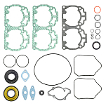 Комплект прокладок с сальниками Sledex для Ski-Doo 600LC  09-711235