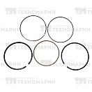 Купить Поршневые кольца Polaris (номинал) NA-50004R Namura Technologies 7ft.ru в интернет магазине Семь Футов