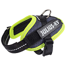 Купить Julius k-9 16IDC-FARNE-3 IDC® Power Обуздать Голубой  Neon Jean 2XL-3 7ft.ru в интернет магазине Семь Футов