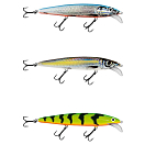 Купить Salmo QWY008 Whacky Limited Edition Пескарь 150 mm  Silver Blue 7ft.ru в интернет магазине Семь Футов