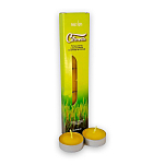 Magic lights 84052 Свеча с цитронеллой 12g 5 единицы измерения Золотистый Green