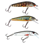 Salmo QMW172 Sinking Пескарь 60 mm 4g Золотистый Lake Charr