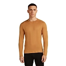 Купить Icebreaker 1043710gr/xl Базовый слой с длинным рукавом Merino 260 Tech Crewe Trail 30x25x2 7ft.ru в интернет магазине Семь Футов
