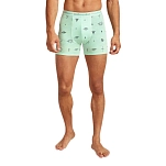 Icebreaker 0A57730C8M трусы-боксёры Merino 150 Anatomica Explore More Mint / Aop M