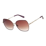 Superdry 995062-25-3066 Солнцезащитные очки Sds-5033-062 Dark Berry / Satin Gold Brown grad/CAT3