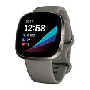 Купить Fitbit 4,07E+12 Sense Sage Умные часы Серебристый Grey 7ft.ru в интернет магазине Семь Футов