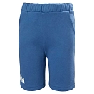 Купить Helly hansen 41662_636-14 Шорты Logo Azurite 20x20x15 13-14 Years 7ft.ru в интернет магазине Семь Футов