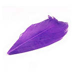 Baetis SC092/VE Condor Заменять Фиолетовый  Purple