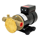 Купить Помпа импеллерная самовсасывающая Johnson Pump F3B-19 10-24760-03 для замены масла 12В 15л/мин 3/8"NPT 170х113х115мм 7ft.ru в интернет магазине Семь Футов