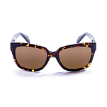 Ocean sunglasses 64000.0 Солнцезащитные очки Santa Monica Demy Brown