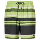 Купить Oakley FOA406218-7EU-XL Плавки Sunset RC 19´´  Gradient Stripes Light Green XL 7ft.ru в интернет магазине Семь Футов