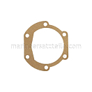Купить Johnson Pump 01-45284 Прокладка F4 7ft.ru в интернет магазине Семь Футов