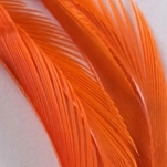Flybox GB-122-UNIT Перо Goose Biots  Fluo Orange