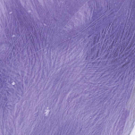 Baetis MA279/WA Marabou L Перо Фиолетовый  Coral