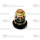 Купить Термостат Yamaha 6H3-12411-11 Poseidon 7ft.ru в интернет магазине Семь Футов