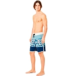 Oakley FOA405404-6ZG-36 плавательные шорты Session rc 19´´ boardshort Голубой Coral Reef Pacific 36