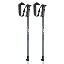 Купить Leki 65320541-80/100 Legacy Junior столбы Серебристый  Regal Blue / Dark Blue / Cyan 80-100 cm 7ft.ru в интернет магазине Семь Футов
