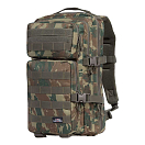 Купить Pentagon D16001-Camo-56-PER PIECE Assault Car Assault 35L Рюкзак Зеленый Grey Camo  Hunt 7ft.ru в интернет магазине Семь Футов
