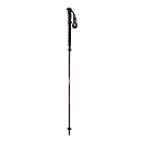 Купить Rock experience REUH11481-C076-U трости Race Z  Caviar / Cherry Tomato 115-135 cm 7ft.ru в интернет магазине Семь Футов