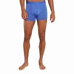Icebreaker 0A571V01UL трусы-боксёры Merino 125 Cool-Lite Anatomica Brilliant L