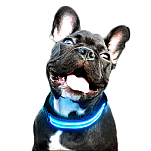 Freedog CC4006 LED Воротник Голубой  Blue S