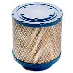 Vetus 08-00084 D2009 DT4.70/85 Воздушный фильтр Золотистый