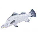 Купить Gaby GP-780255 The Barramundi Giant Серебристый  Blue / Silver 7ft.ru в интернет магазине Семь Футов