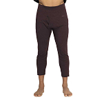 Armada R00506030-L Базовые штаны Hoopler Коричневый Sassafras / Black L