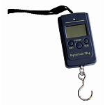 Evia BHDS25 Digital Черный  Black 25 kg 