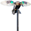 Купить Mojo outdoors 510411 Elite Series Зеленокрылая бирюзовая приманка Золотистый Grey 7ft.ru в интернет магазине Семь Футов