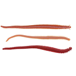 Berkley 1309096 Gulp Alive Nereis Многоцветный  Natural